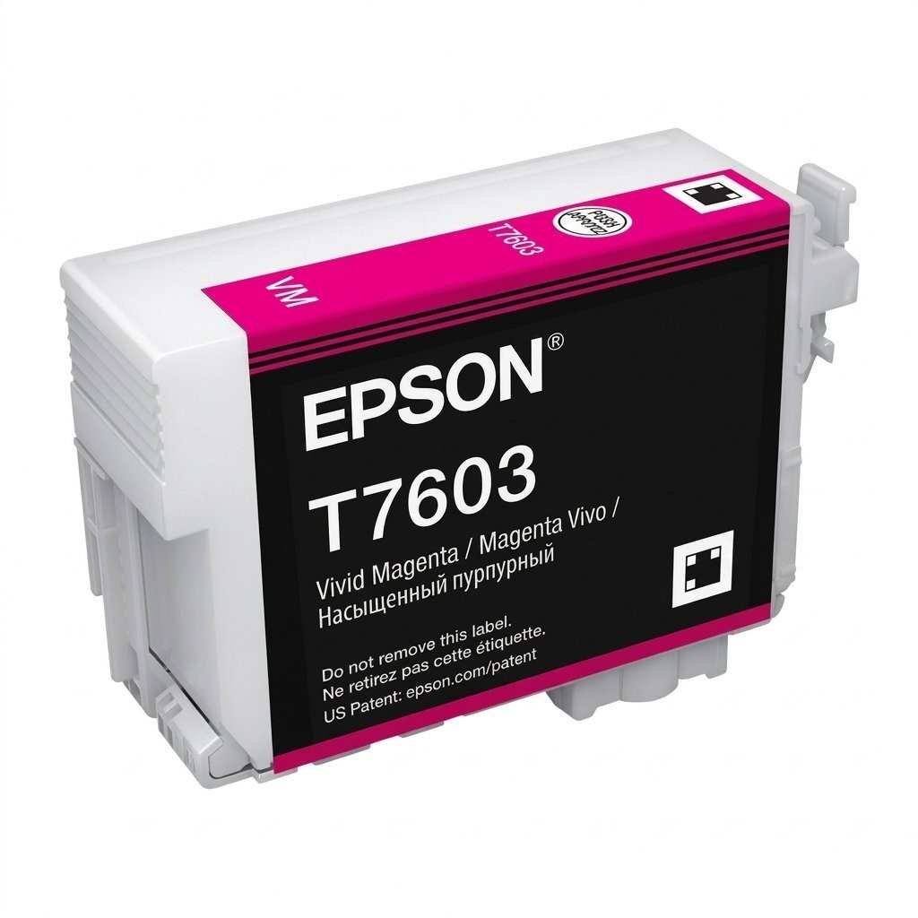 download-2026-07-31T203917.078